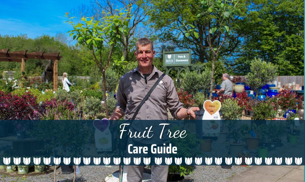 Guide to Fruit Trees