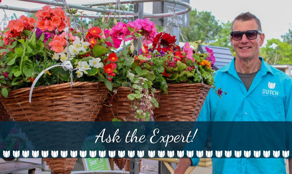Gardening Q & A With Alex